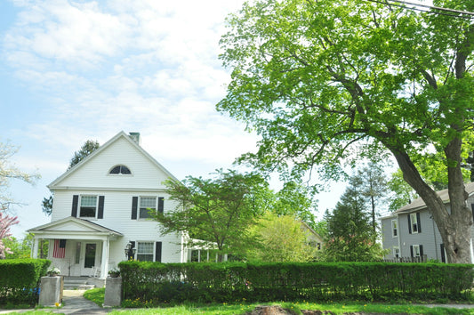 DIY vs. Professional Tree Service: Which is Right for You?