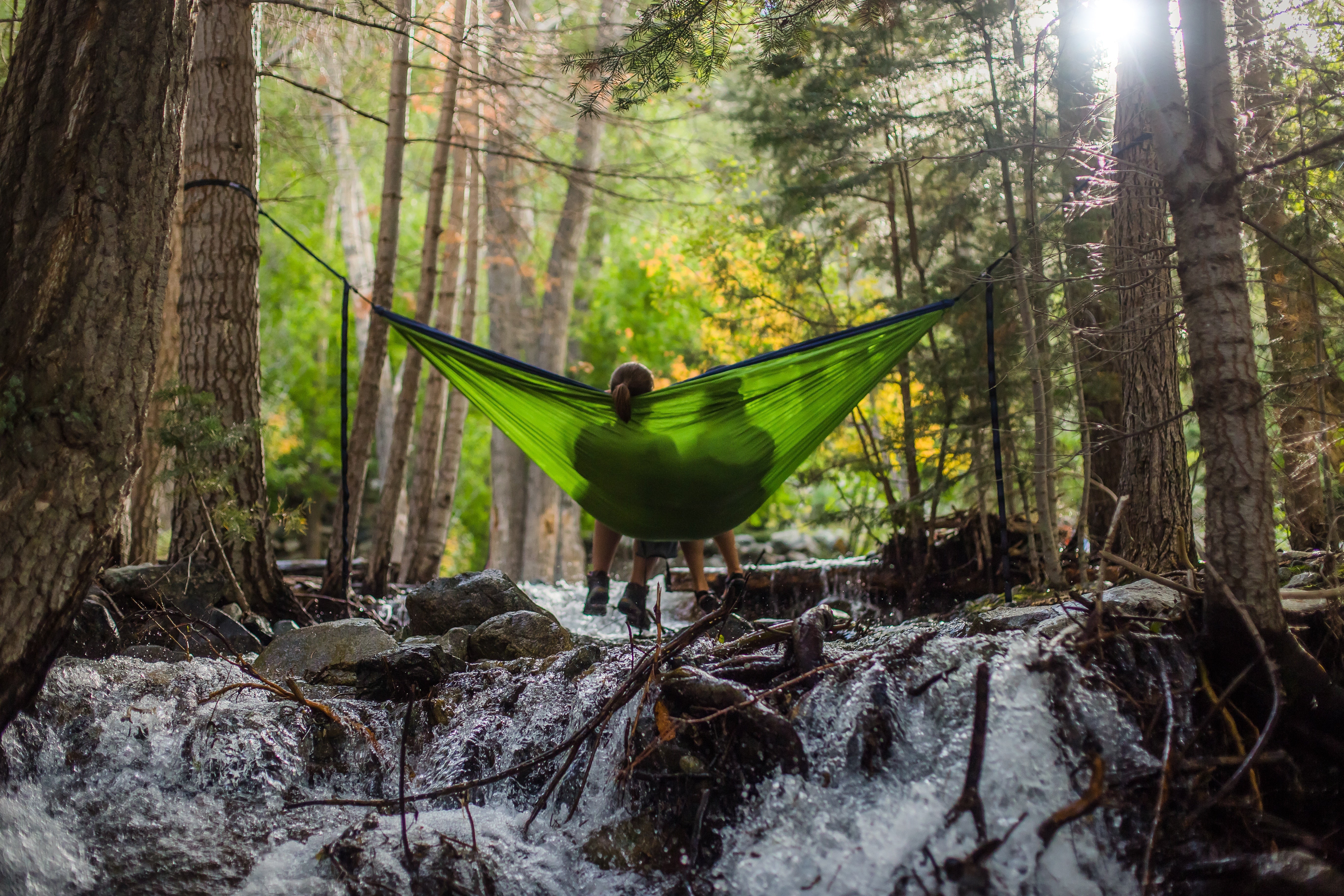 The Surprising Healing Power of Trees: Benefits for Mental Health ...