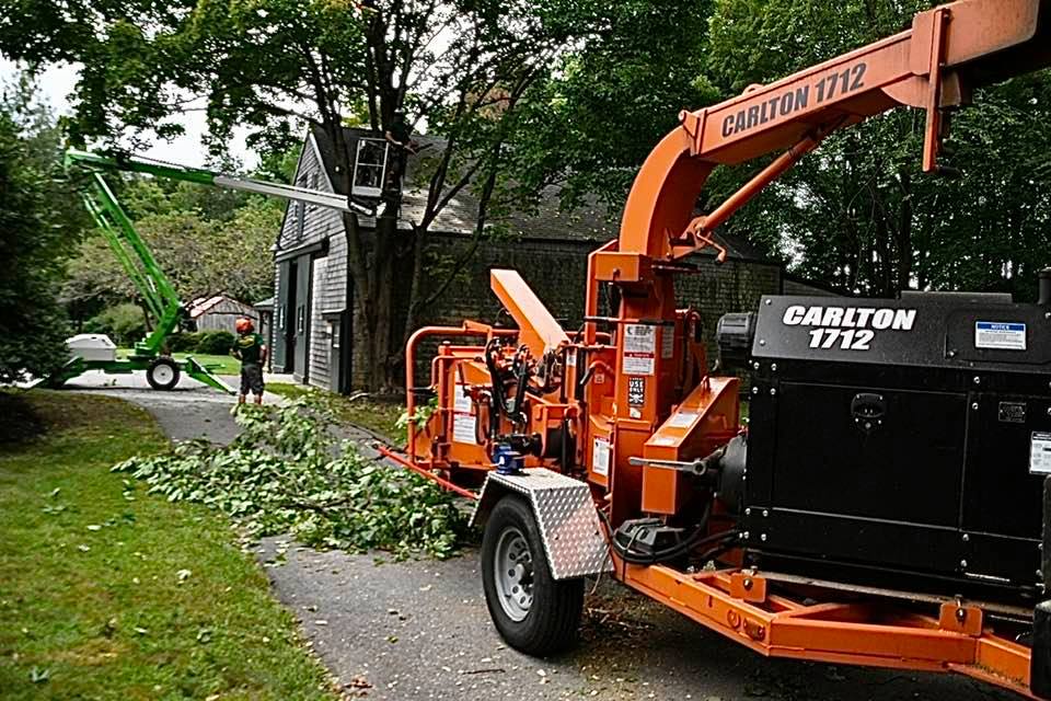 Brush being run through a chipper to haul away branches and debris.