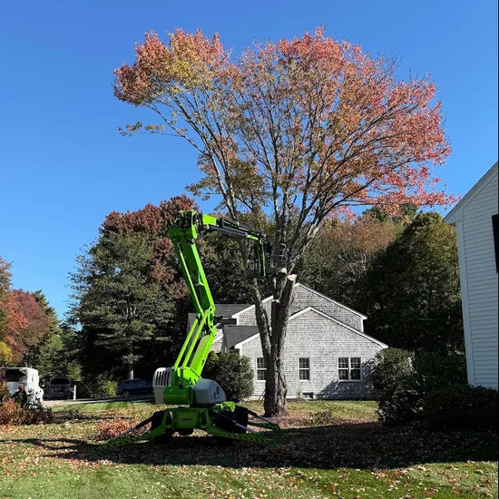 Tree trimming operation with a crane in a residential area on a clear day.